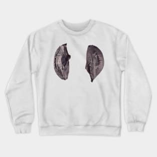 Chives seeds under microscope Crewneck Sweatshirt